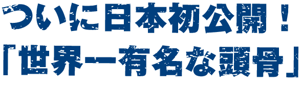 ついに日本初公開！「世界一有名な頭骨」