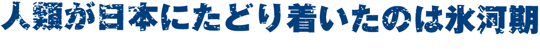 ついに日本初公開！「世界一有名な頭骨」