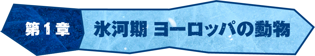 第1章 氷河期 ヨーロッパの動物