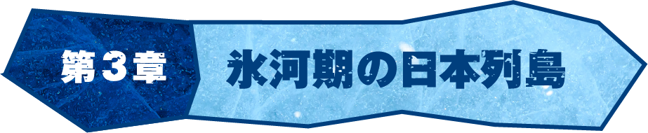 第3章 氷河期の日本列島